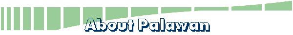 About Palawan
